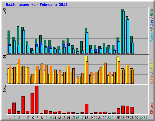 Daily usage for February 2013