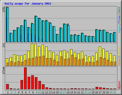 Daily usage for January 2021