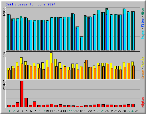 Daily usage for June 2024