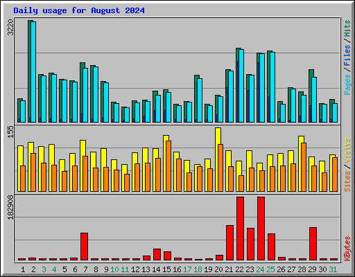 Daily usage for August 2024