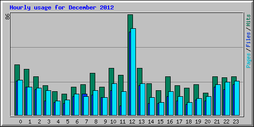 Hourly usage for December 2012