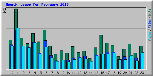 Hourly usage for February 2013
