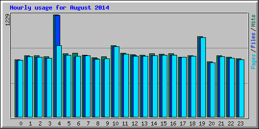 Hourly usage for August 2014