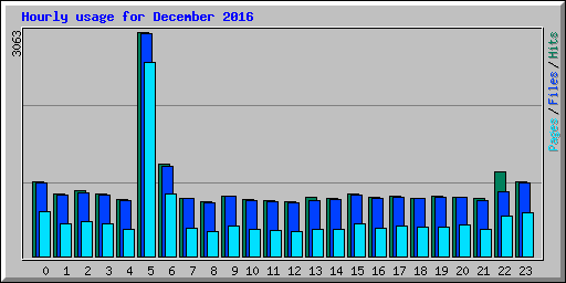 Hourly usage for December 2016