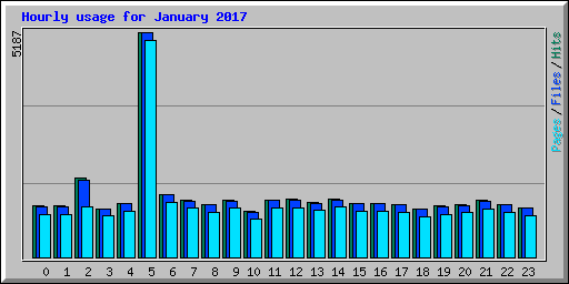 Hourly usage for January 2017