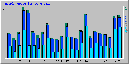 Hourly usage for June 2017