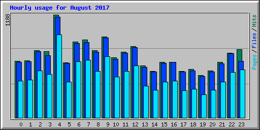 Hourly usage for August 2017