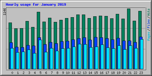 Hourly usage for January 2019