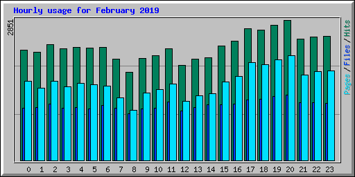 Hourly usage for February 2019