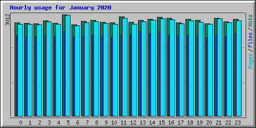 Hourly usage for January 2020