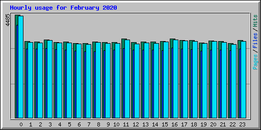 Hourly usage for February 2020