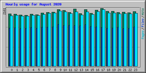 Hourly usage for August 2020