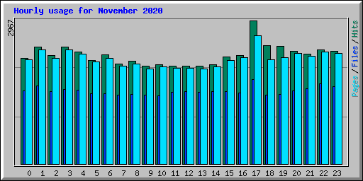 Hourly usage for November 2020