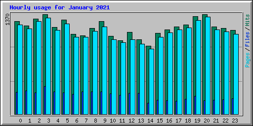 Hourly usage for January 2021