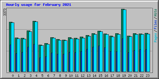 Hourly usage for February 2021