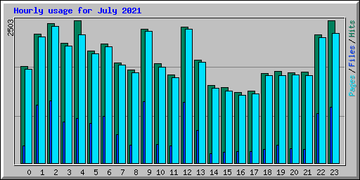 Hourly usage for July 2021