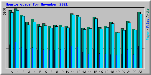 Hourly usage for November 2021