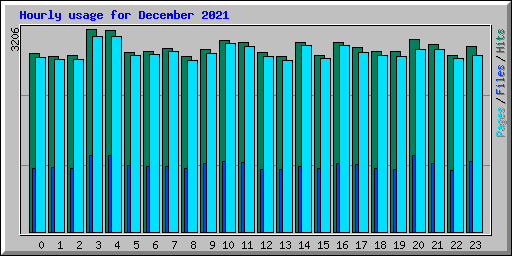 Hourly usage for December 2021