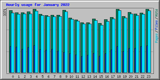 Hourly usage for January 2022