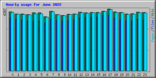 Hourly usage for June 2022