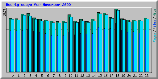 Hourly usage for November 2022
