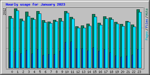 Hourly usage for January 2023