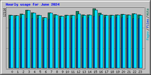 Hourly usage for June 2024