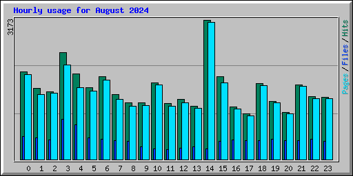 Hourly usage for August 2024