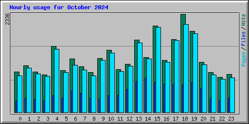 Hourly usage for October 2024