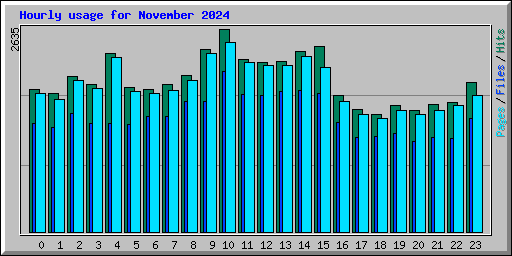 Hourly usage for November 2024