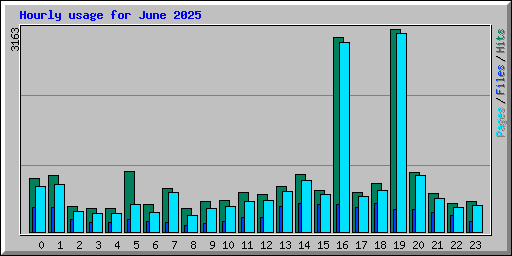 Hourly usage for June 2025