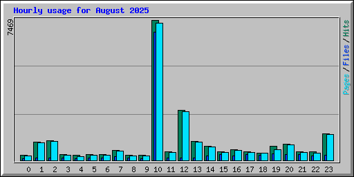 Hourly usage for August 2025