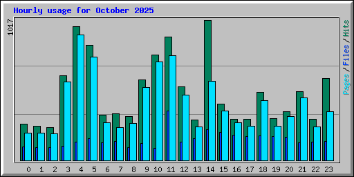 Hourly usage for October 2025